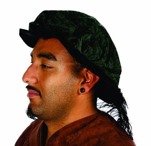 Alexanders Costumes Renaissance Hat with Feather, Green, One Size