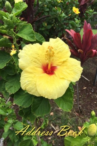 Address Book: Yellow Hibiscus, Maui, 100 pages, 4x6 inches (mini size)