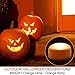 HOME MOST 2-Pack Halloween Pumpkin Lights with Remote/Timer - Orange Pumpkin Lights LED Battery Operated Halloween Decor - Jack-O-Lantern Outdoor Decorations