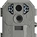 Stealth Cam P12 6mp 12IR Digital Camera (2-Pack)