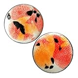 Pair - Poppy Fields Glass Essential Oil Ear Plugs Organic Handmade Ceramic double-flared body jewelry