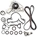 SCITOO Timing Belt Water Pump Gasket W/Hydraulic Tensioner Fit Mitsubishi 3000GT Diamante Dodge Stealth 3.0L V6 DOHC 24 Valve 6G72 6G72T 1991-1999