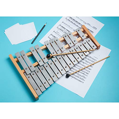 Glockenspiel 25 Note Chromatic Metal Xylophone Sheet Music Cards Pricepulse