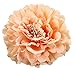 HC-01 Floral Fall Peony Flower Hair Clip Flamenco Dancer Pin up Flower Brooch (Champagne)
