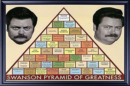 Amazon Com Framed Nick Offerman Standards 22x34 Poster Dry