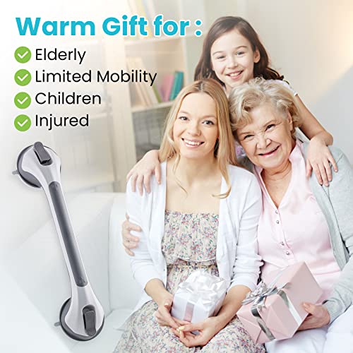 TAILI Grab Bars for Bathtubs and Showers 2 Pack Suction Grab Bar, Heavy Duty Shower Handle Removable Bath Handrails for Seniors and Elderly, Bathroom Safety Grip No Drilling Waterproof,Grey,G9