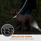 Taglory Rope Dog Lead with Padded Handle 1.5 m Reflective 1.2 cm Black view 5