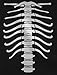Skeleton Shirt Mens Front & Back Print Rib Cage Xray Costume Adult Funny Halloween Shirts for Men Medium Black