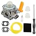 Butom 308054013 Carburetor with Air Filter Tune Up Kit for Ryobi RY30120 RY30130 RY30140 BC30 RY30160 RY30220 RY30240 RY30260 RY52014 TP30 RY52502 RY52903 30cc String Trimmer Gas Pruner primary