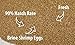 Brine Shrimp Eggs (Artemia Cysts) of 90% Hatch Rate Fish Food (100 Grams)