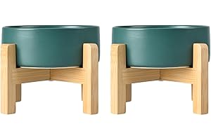 SPUNKYJUNKY Ceramic Elevated Dog Bowls 2 Pack - 6.1inch Raised Dog Bowls with Non-Slip Wooden Stand for Medium Dogs Dishwasher Safe(Green,28.7OZ*2)
