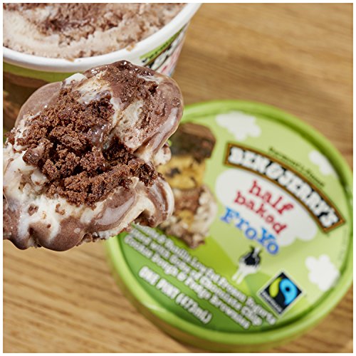 Ben & Jerry's Frozen Yogurt, Half Baked FroYo 16 oz - Thumbnail 4