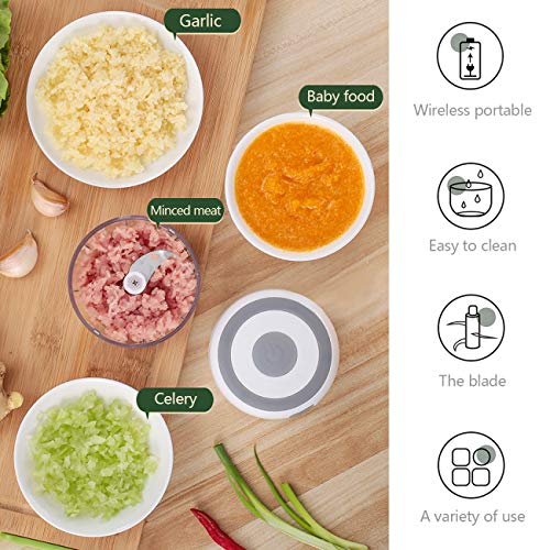 Huasida Mini Food Chopper Small Food Processor Mincer Blender Suitable for Onions Garlic Vegetables Nuts Baby Food (White, 250ml)