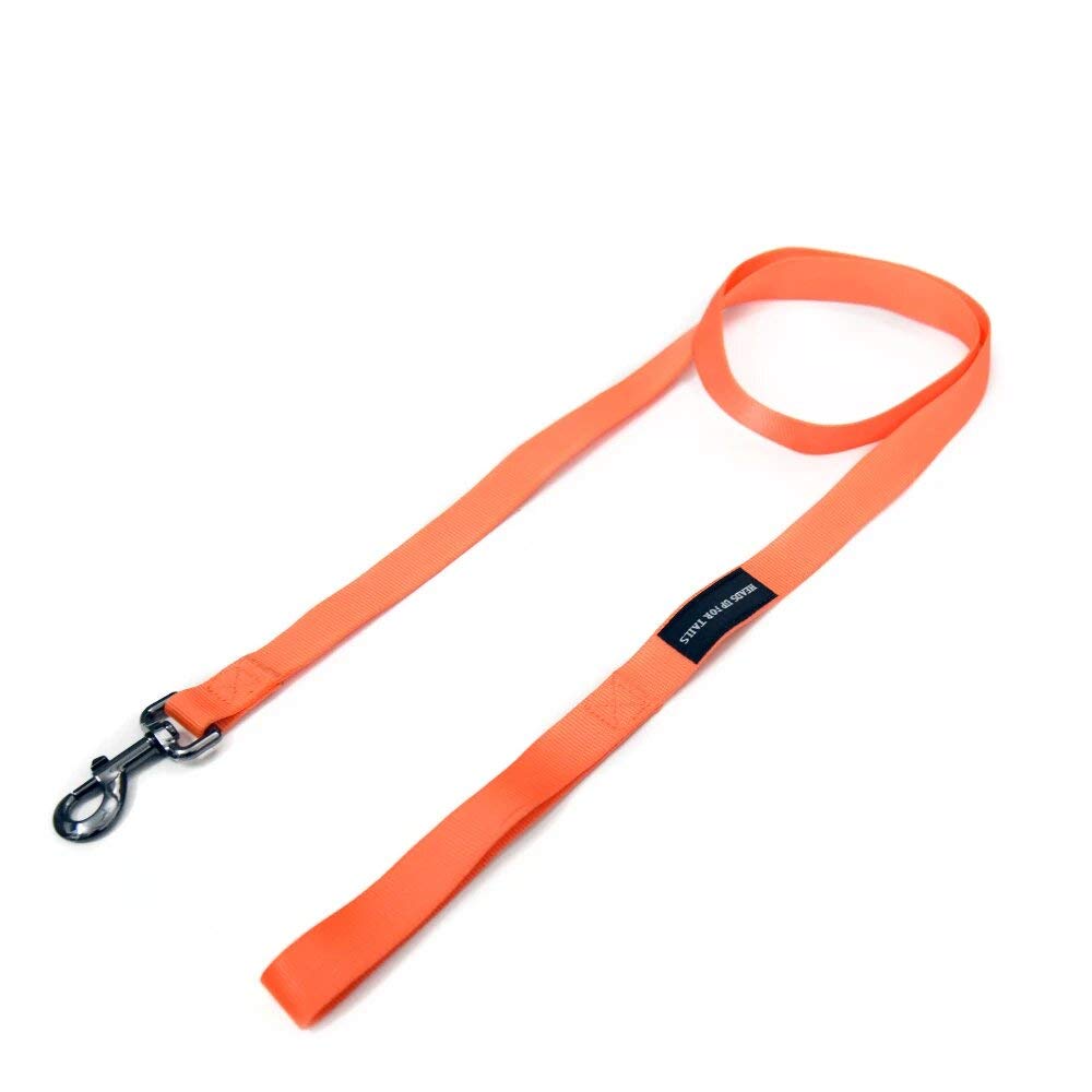 Heads Up For Tails Essentials Nylon Dog Leash (Orange, Medium) Amazon