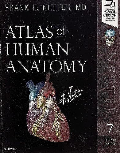 Histology of the human eye;: An atlas and textbook: Hogan, Michael