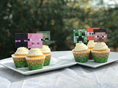 12 Minecraft cupcake toppers &amp; 12 cupcake wrappers.