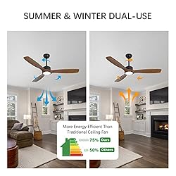 Wozzio 52 inch Indoor Outdoor Ceiling Fan with
