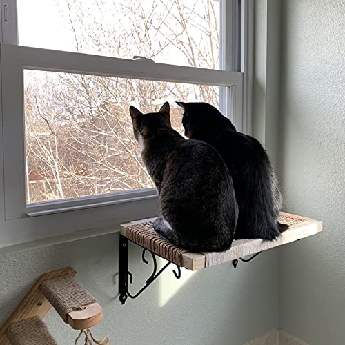 Purife Floating Cat Wall Shelves & Perches for Indoor Large Cats Wall