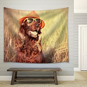 Funny Retro Dog Wearing Sunglasses and Hat - Fabric Wall Tapestry Home Decor - 51x60 inches