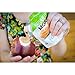 Naturally More 100% Organic Peanut Butter - All Natural - Probiotic Infused-Premium Roasted Peanut Taste-Heart Healthy Flax - Vegan - Gluten Free - Plant Based - Travel Size Snack Packets (3 Packs)