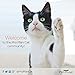 Purina Pro Plan High Protein Cat Food Gravy, White Meat Chicken and Vegetable Entree - (Pack of 24) 3 oz. Pull-Top Cans