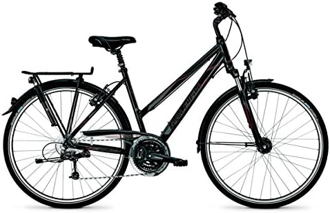 fahrrad raleigh road classic