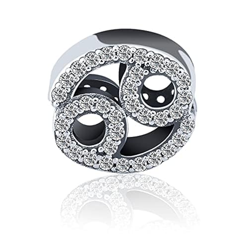 12 Zodiac Signs Birthday Constellations 925 Sterling Silver Charm