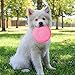 Petper Dog Flying Disc Toy, Dog Frisbees Indestructible 9 inches, Pink