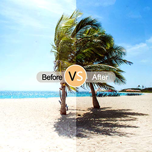 BEDO Gray Lens Polarized Sunglasses for Women Vintage Big Frame Sun Glasses Ladies Shades