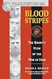 Blood Stripes: The Grunt's View of the War in Iraq