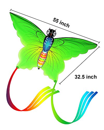 Aitey Easy Fly Kite, Rainbow Butterfly Kite for Kids and Adult, One of the Best Outdoor Games and Activities, with 165" of Line and Handle - Great Beginner, Amateur Kite (Green)