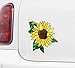 Yadda-Yadda Design Co. Sunflower D2 - Stained Glass Style Vinyl Decal for Cars | Trucks | Gas Cap | Outdoor Use (Size Choices Available) (Medium 5.5