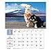 Shiba Inu Calendar 2019 with Adorable Shiba Dogs' Pictures | US Holidays & Japanese Holidays | in English | Made in Japan (Wall Calendar 2019)