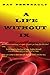 A Life Without IX by Ray Perreault