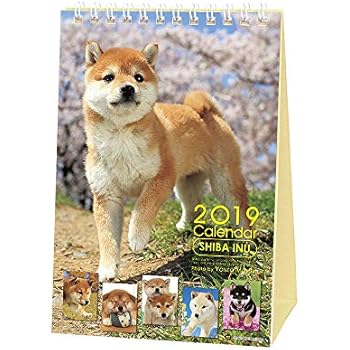 Amazoncom Shiba Inu Calendar 2019 With Adorable Shiba