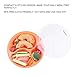 Glotoch 39 Ounce BPA Free Plastic Meal Prep Containers with Lids, 3 Compartment Lunch Box & Round Food Containers, Microwave & Freezer & Dishwasher Safe Containers & Bento Boxes, Orange, 10 Count