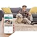 Hidden Camera Wall Charger, HD 1080P WiFi Spy Camera with Motion Detection, Hidden Security Camera with Night Vision Max to 39FT for Home Security