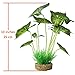 Smarlin Aquarium Plants Decoration, Artificial Plants for Fish Tank, 2 Pack (10 inches Height)