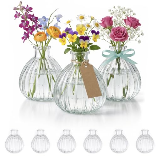 Top Angebot: casavetro Kleine Glasvasen für... für 19,68€ Details öffnen!
