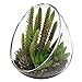 MyGift Small Artificial Cactus Plants with Slanted Clear Glass Terrarium Vase