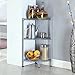 LANGRIA 3-Tire Corner Wire Shelf Bathroom Corner Shelf Bookcase, Free Standing Corner Storage Rack Display Tier Shelf for Kitchen Office,Silver