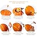 IBASETOY Halloween Pumpkin Carving Kit - Professional Stainless Steel Pumpkin Carving Tools Set for Kids and Adults, Easily Carve Sculpt Halloween Jack-O-Lanterns (with Carrying Bag) (Orange-6pcs)