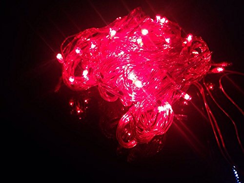 Blackberry Overseas 5M_Still LED String Light (Pink)