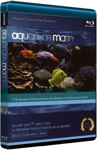 Aquarium Marin