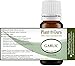 Garlic Essential Oil - 10 ml. 100% Pure Natural Undiluted Therapeutic Grade Allium Sativum