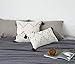 EIGRAMSET Bigcozy Boho Lumbar Pillow Cover Tassel, Farmhouse Small Cream Decorative, Modern Moroccan Accent Tribal Cotton Woven Pillow Case, 12