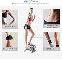 FP1 Exercise Stepper Mini Step Swivel Elliptical Trainer by Loctek ...