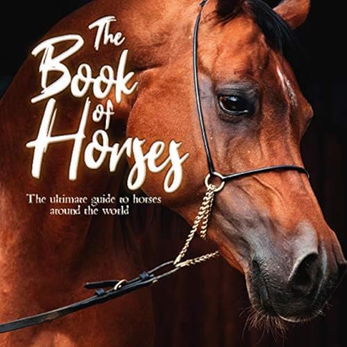 Amazon.com: The World's Most Beautiful Horses (Spectacular Places