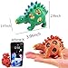 Kids and Adults Autism Toys/Dinasour Squishy Stress Ball/Stress Relief Squeeze Toys/Best Rubber Dinosaur Mesh Ball Squeeze Toy for Stress Reduction-Animal Adorable Party Favor,(3 Styles of Dinosaurs)