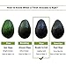 Kinsy Avocado Tool Set | 5-in-1 Multi-Functional Avocado Slicer, Keeper, Cutter, Masher, Pitter, Peeler | Green Plastic & Stainless Steel